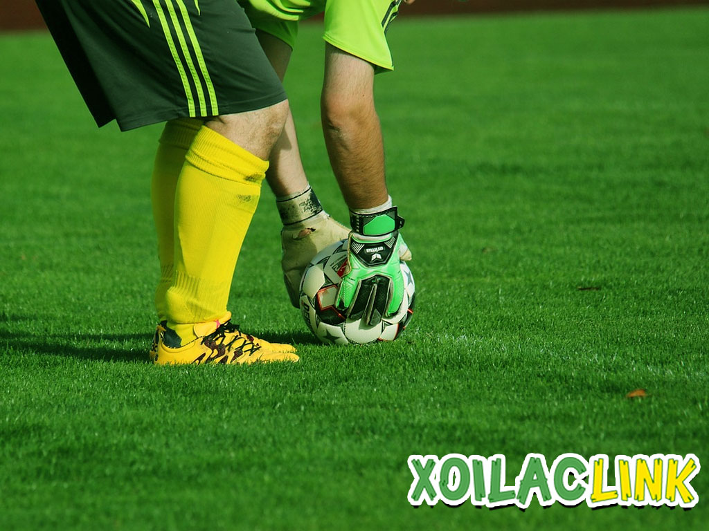 nhan-dinh-bong-da-hom-nay-tai-xoilac-tv