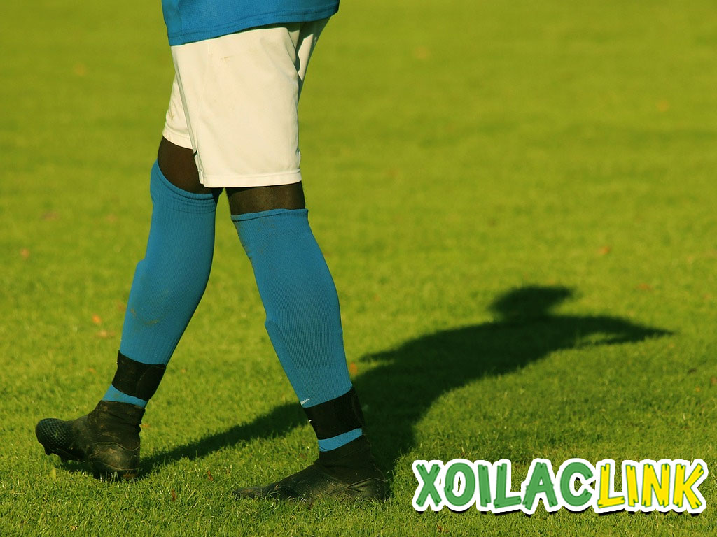 video-highlight-bong-da-moi-nhat-tai-xoilac-tv