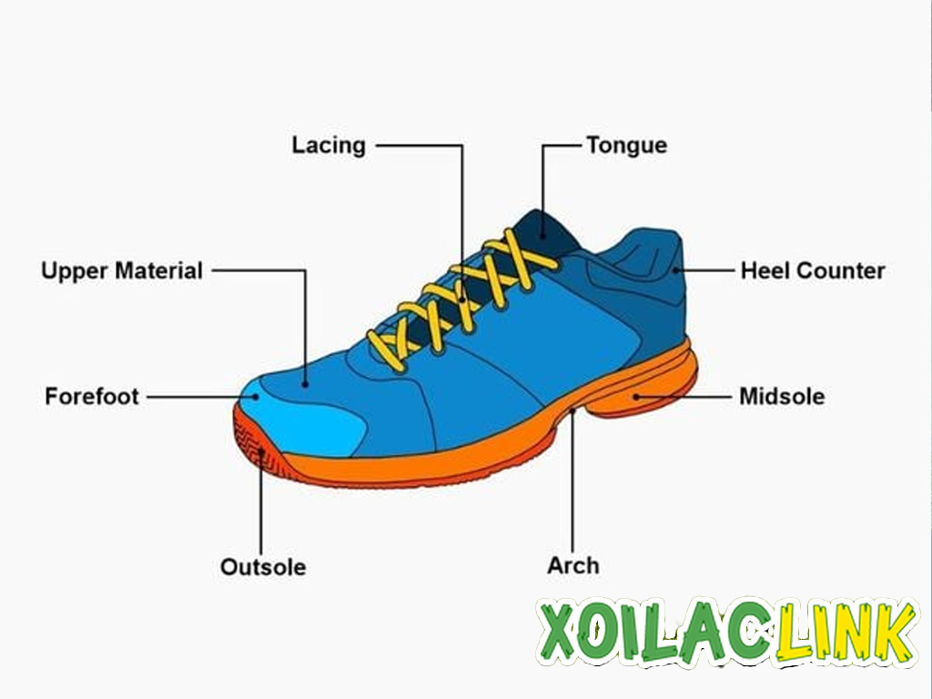 cau-tao-cua-giay-cau-long