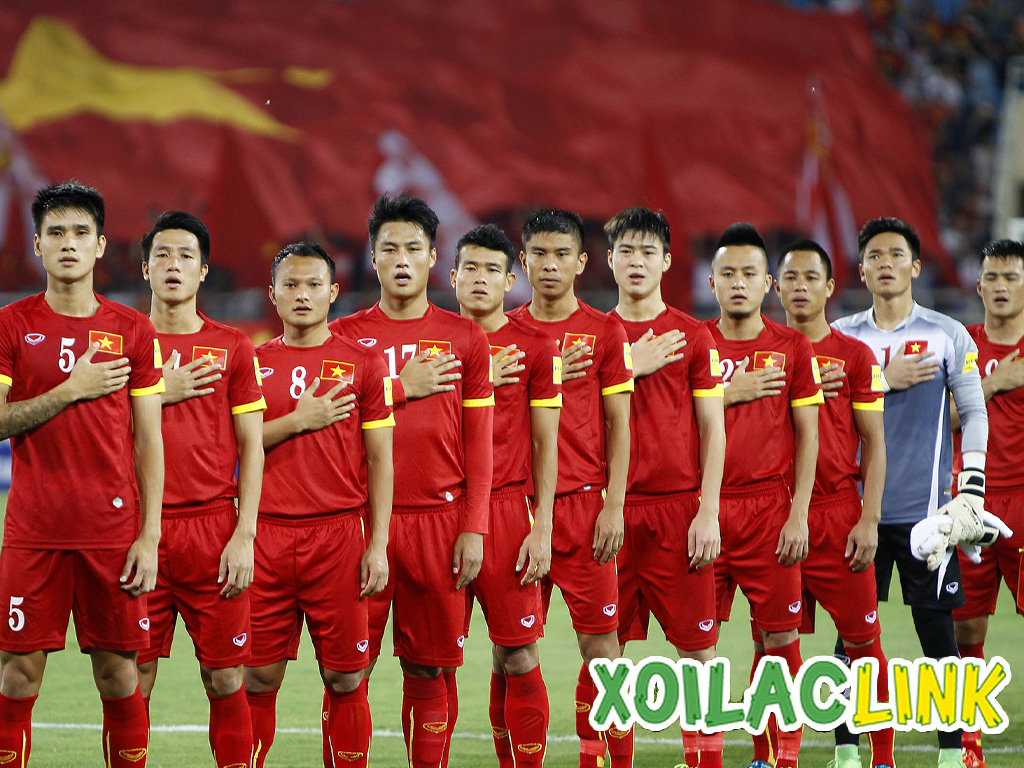 viet-nam-tham-du-asian-cup